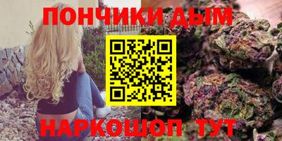 хмурый Шелехов